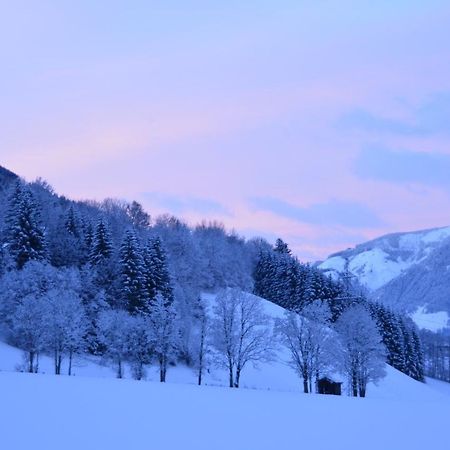Doppelzimmer Herzogbauer Saalfelden Bagian luar foto